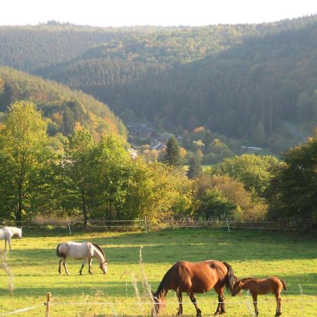 Pretty Cottage Ardennes Near The Valley Of Lesse Vencimont Bagian luar foto