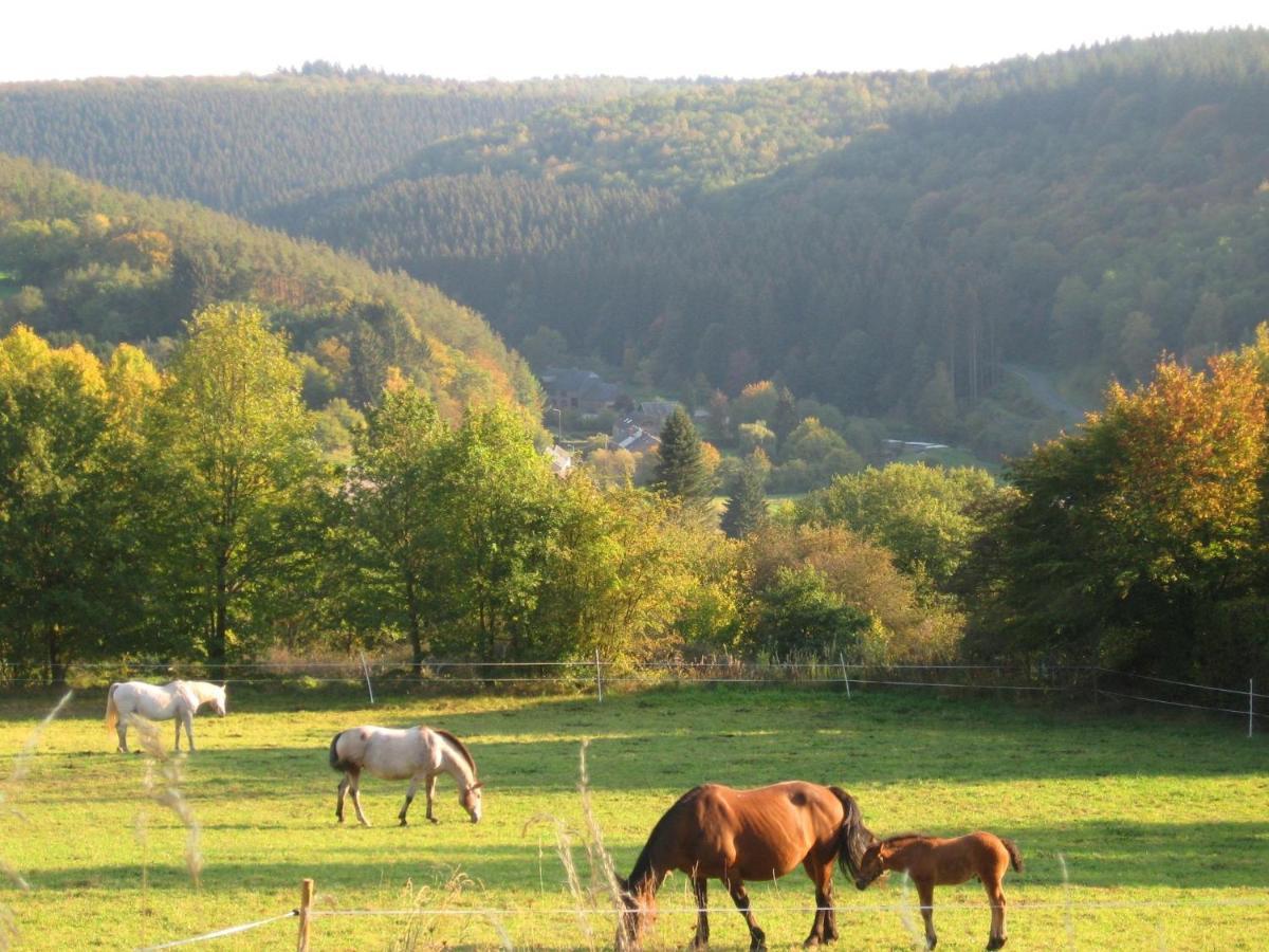 Pretty Cottage Ardennes Near The Valley Of Lesse Vencimont Bagian luar foto