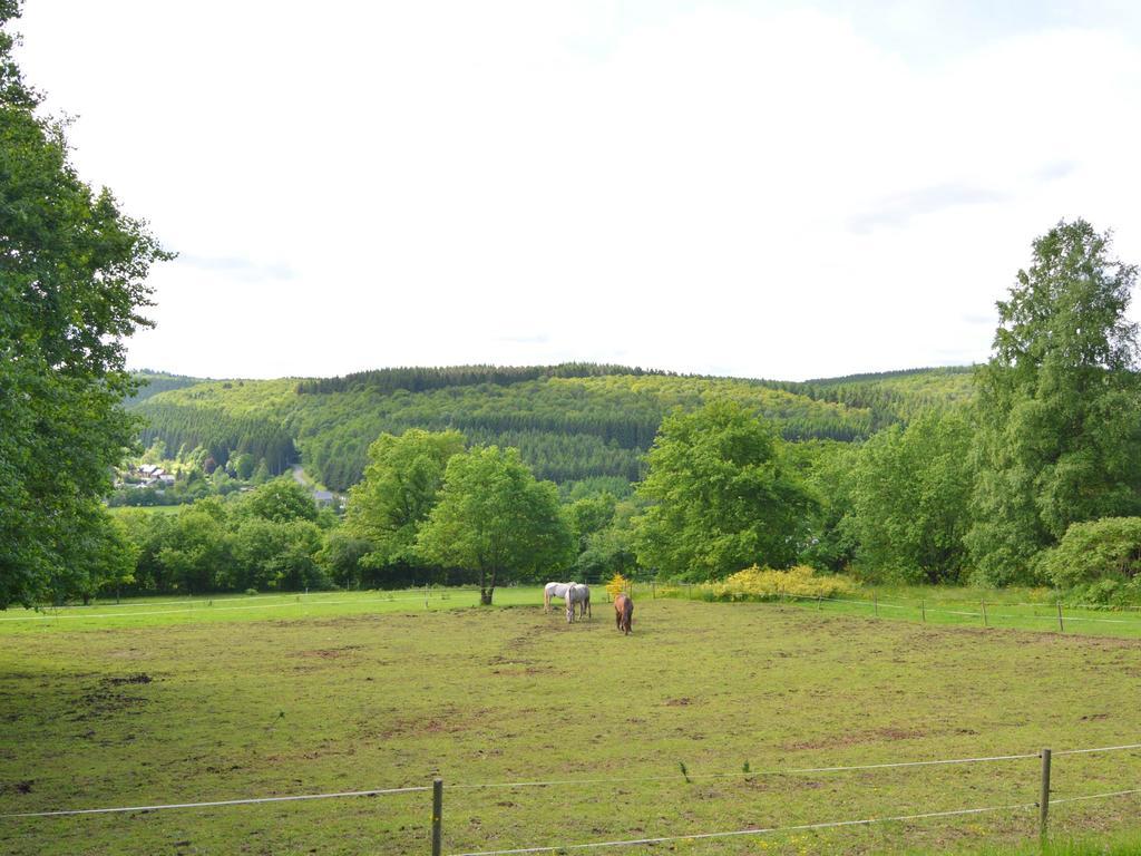 Pretty Cottage Ardennes Near The Valley Of Lesse Vencimont Bagian luar foto